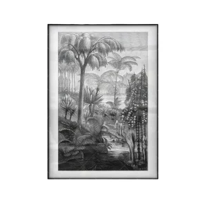 Affiche Jungle Noir et Blanc