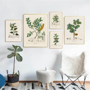 Affiche Plante Vintage