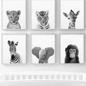 Affiche bébé Animaux noir et blanc