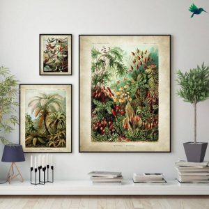 Poster Jungle Vintage