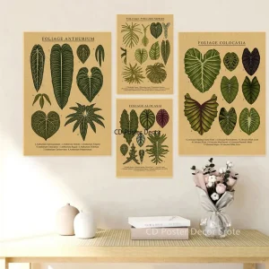 Affiche Botanique Vintage