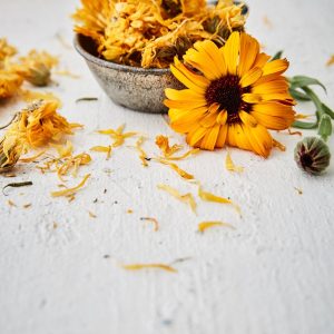 Calendula
