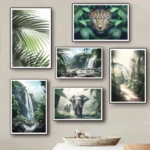 Affiche animaux Jungle et Forêt
